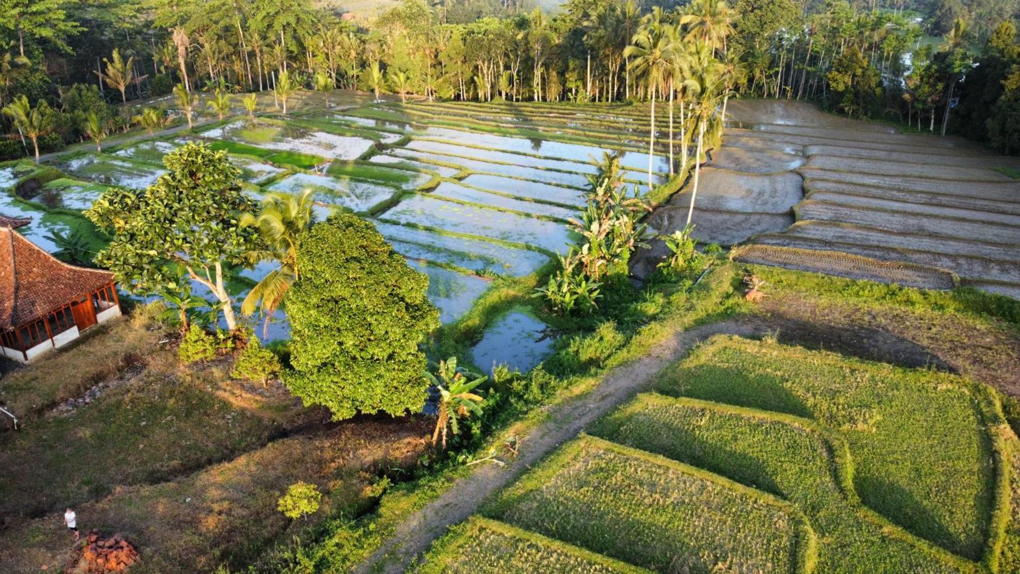 Kampoeng Joglo Ijen Villa Banyuwangi  Exterior photo